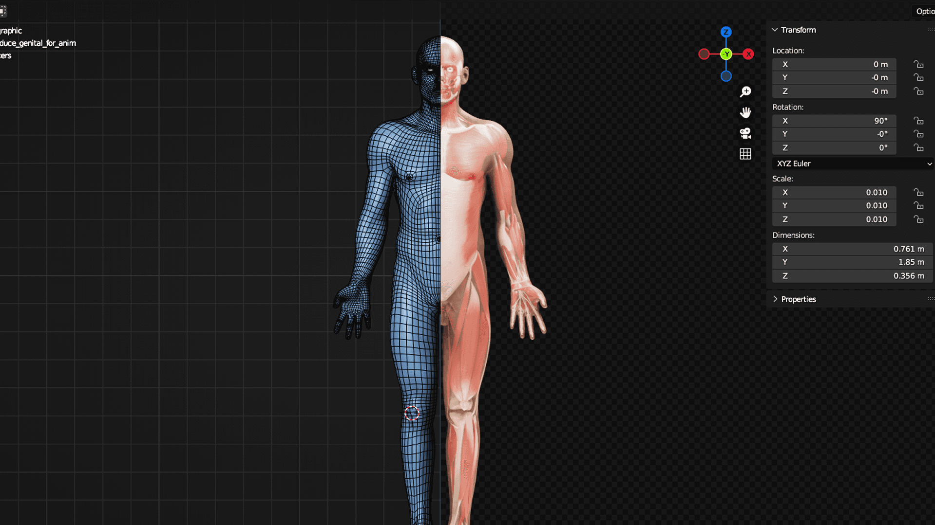 Medical animation