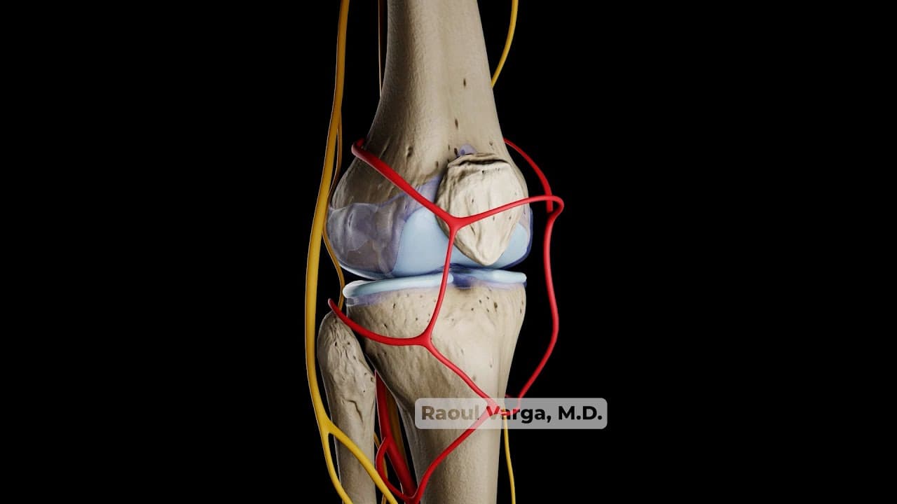 Knee Joint Pain